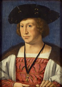Floris van Egmond 1469-1539, Burenin kreivi, 1536 tekijältä Jan Gossaert