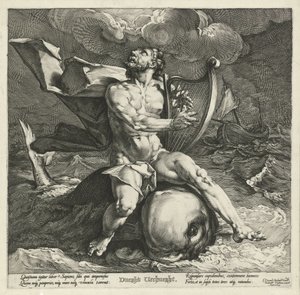 Arion delfiinillä