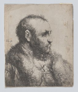  tekijältä Jan Lievens