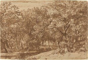 Deer Park tekijältä Jan Lievens