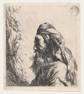  tekijältä Jan Lievens