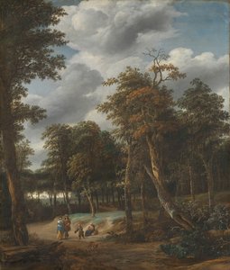 Metsätie tekijältä Jan Looten