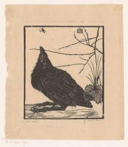 Crow, katselee hyttystä