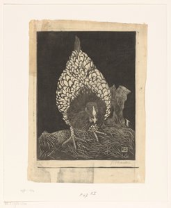 hopea wyandotte
