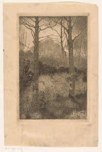metsän reuna tekijältä Jan Mankes