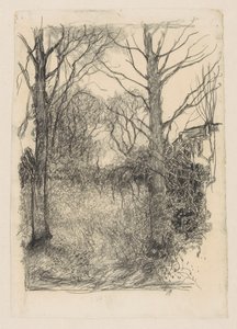 metsän reuna tekijältä Jan Mankes