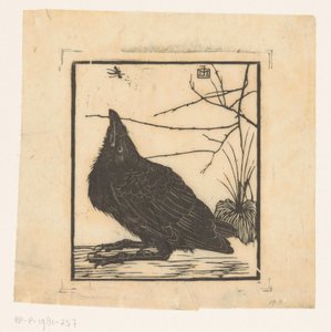 Crow, katselee hyttystä