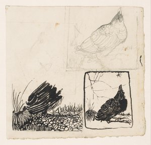 Crow, katselee hyttystä