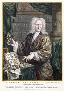 Albertus Seban muotokuva teoksesta "Luonnonaarteiden tarkin kuvaus", 1734-1765 tekijältä Jan Maurits Quinckhardt