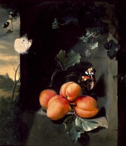 Asetelma aprikoosien ja perhosten kanssa, 1683