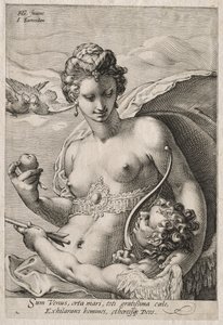 Venus ja Cupid tekijältä Jan Saenredam