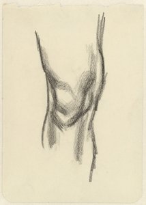 Polven tutkimus tekijältä Jan Toorop