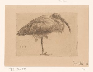 Ibis (títol original sobre l