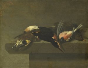 Kuolleet linnut tekijältä Jan Vonck