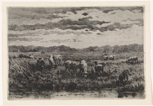 Maisema lampaiden kanssa