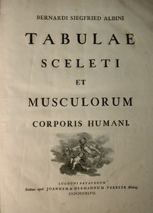 Albinus I, nimiölehti, teoksesta 