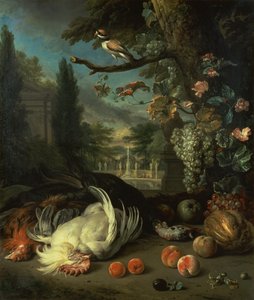 Dead Poultry (öljy kankaalle) tekijältä Jan Baptist Weenix