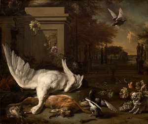 Asetelma joutsenen ja riistan kanssa ennen maalaistaloa, n. 1685. tekijältä Jan Baptist Weenix