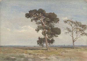 Näkymä nummelle kahdella puulla
