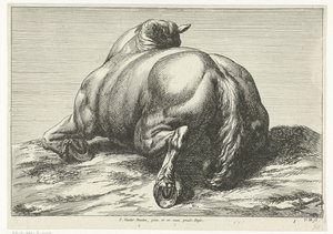 Kaatunut hevonen vatsallaan takaa katsottuna Fallen Horses (sarjan nimi)