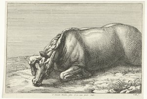 Kuollut hevonen näkyy vasemmalla Dead Horses (sarjan nimi) tekijältä Jan van Huchtenburg