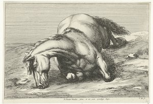Kuollut hevonen makaa oikealla puolella Dead Horses (sarjan nimi)