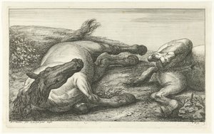 Kaksi kaatunutta hevosta, vasen edestä katsottuna Dead Horses (sarjan nimi) tekijältä Jan van Huchtenburg