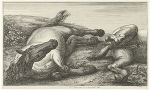 Kaksi kaatunutta hevosta, vasen edestä katsottuna Dead Horses (sarjan nimi) tekijältä Jan van Huchtenburg