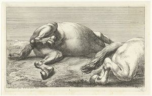 Kaksi kaatunutta hevosta, oikea sivulta katsottuna Dead Horses (sarjan nimi) tekijältä Jan van Huchtenburg