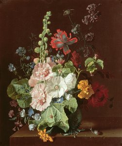 Hollyhocks ja muut kukat maljakossa, 1702-20