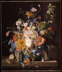 Unikot, hollyhock, Morning Glory, alttoviulu, päivänkakkarat, makea herne, kehäkukka ja muut kukat maljakossa, jossa etana kielekkeellä