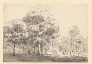 Näkymä Haarlemmerhoutille, Haarlem tekijältä Jan van Kessel (attributed to)