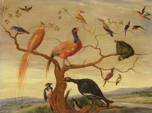 Lintukonsertti (öljy kuparilevylle) tekijältä Jan van Kessel the Elder