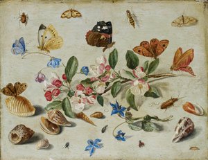 Kukat ja hyönteiset, 1650-luvun loppu tai 1660-luvun alku