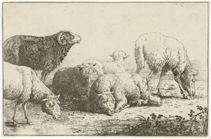 lampaat Eläimet (sarjan nimi) Zoographiam (sarjan nimi)