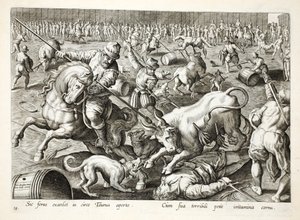 Joukkohärkätaistelu aitauksessa, kuvitus teoksesta "Venationes, Ferarum, Avium, Piscium" (Metsästys: Wild Beasts, Birds, Fish), kaiverrettu Jan Collaert (1566-1628), pub. kirjoittanut Phillipus Gallaeus, Amst tekijältä Jan van der Straet