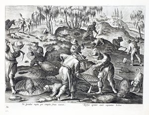 Porcupines kaivetaan esiin ja vangitaan, levy 54, kuva julkaisusta "Venationes, Ferarum, Avium, Piscium" (Metsästys: Wild Beasts, Birds, Fish), kaiverrus Jan Collaert (1566-1628), pub. kirjoittanut Phillipus tekijältä Jan van der Straet