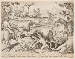 Buffalo Hunt, levy 27 Hunts of Game, Birds and Fish -sarjassa tekijältä Jan van der Straet, called Stradanus
