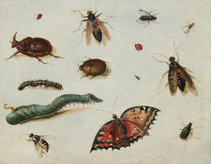 ""Hyönteiset"" (Insects) Maalaus Jan Van Kessel Vanhin (1626-1679) Öljy puulle Koko 13x16,5 cm Fondation Custodia