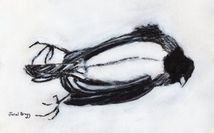 Dead Bird by my Stairwell, noin 2018 (hiiltä ja gessoa paperille). tekijältä Janel Bragg