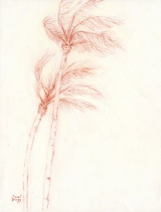 Olipa kerran trooppinen loma Palmut, n.2019 (lyijykynä paperille) tekijältä Janel Bragg
