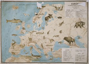 Kartta eläimistä Euroopassa, (värikaiverrus)