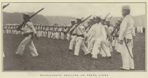 Bluejackets-poraus Terra Firmalla tekijältä Japanese Photographer