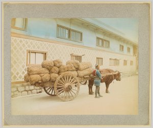 Mies härän ja kärryjen kanssa, Japani (käsinvärinen mustavalkokuva) tekijältä Japanese Photographer