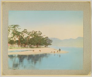 Miyajima, Japani (käsinvärinen mustavalkokuva) tekijältä Japanese Photographer