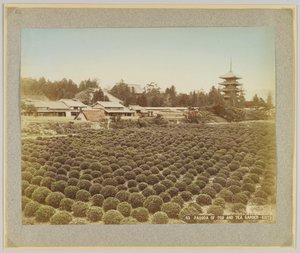 Tojin pagodi ja teepuutarha, Kioto, Japani (käsinvärinen mustavalkokuva) tekijältä Japanese Photographer