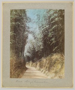 Tie bambulehdon läpi, Japani (käsinvärinen mustavalkokuva) tekijältä Japanese Photographer