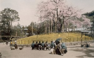 Kuuluisa kirsikkapuu Maruyamassa, Kiotossa 1890-luvulla. tekijältä Japanese Photographer
