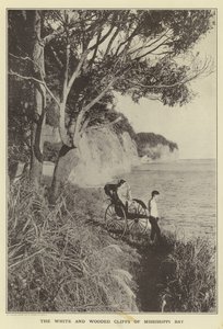 Mississippi Bayn valkoiset ja metsäiset kalliot