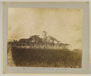 Puut Biwa-järven rannalla, lähellä Kiotona, Japani (m/v kuva) tekijältä Japanese Photographer